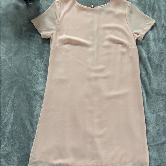 Lulu's light pink shift  Dress - Picture 2 of 5